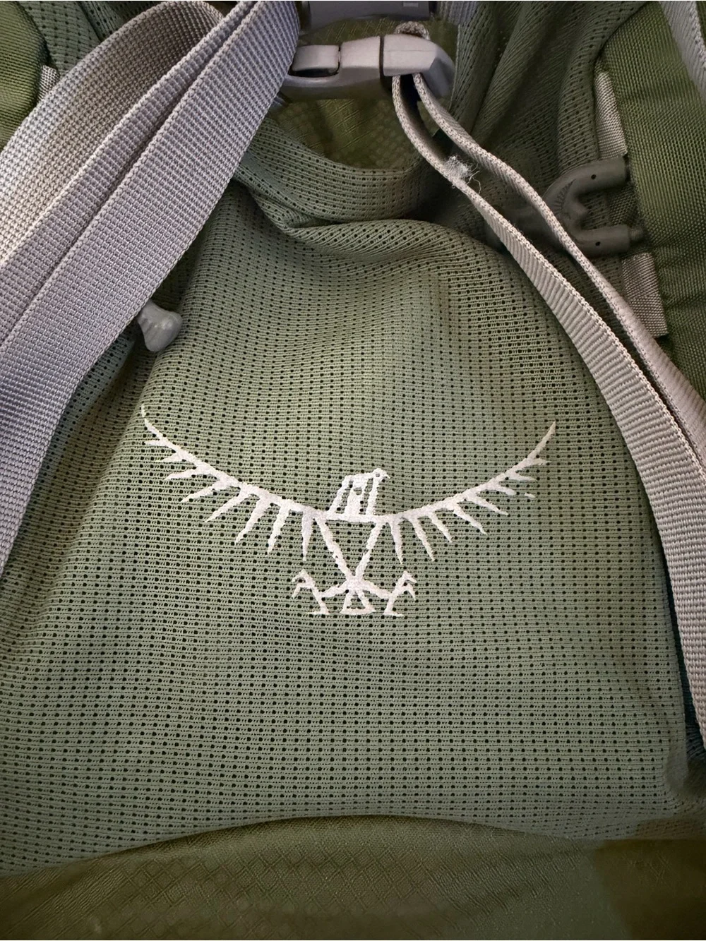 OSPREY Olive Green and Grey Men’s Hiking Backpack